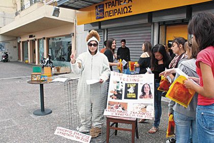 protest in chania against animal tortues