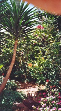 gardening in Crete