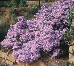 gardening in Crete