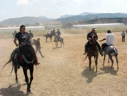 georgalidika horses event in kissamos